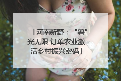 河南新野：“薯”光无限 订单农业激活乡村振兴密码