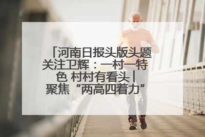 河南日报头版头题关注卫辉：一村一特色 村村有看头 ︳聚焦“两高四着力”·一“县”观察