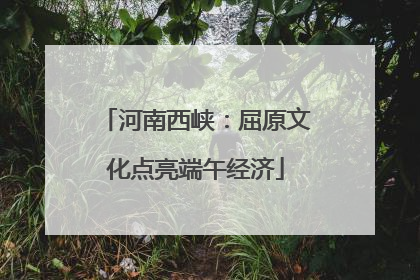 河南西峡：屈原文化点亮端午经济