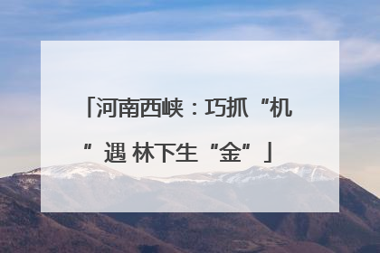 河南西峡：巧抓“机”遇 林下生“金”