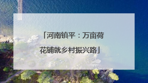 河南镇平：万亩荷花铺就乡村振兴路