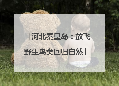 河北秦皇岛：放飞野生鸟类回归自然