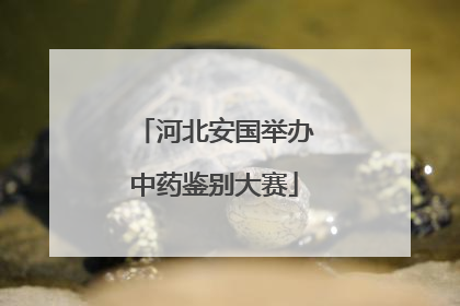 河北安国举办中药鉴别大赛