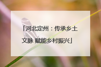 河北定州：传承乡土文脉 赋能乡村振兴