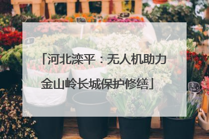 河北滦平：无人机助力金山岭长城保护修缮