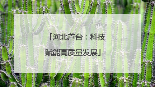 河北芦台：科技赋能高质量发展