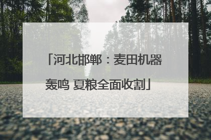 河北邯郸：麦田机器轰鸣 夏粮全面收割