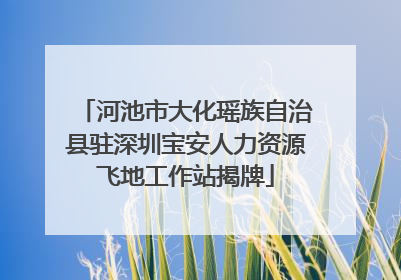 河池市大化瑶族自治县驻深圳宝安人力资源飞地工作站揭牌