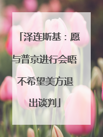 泽连斯基：愿与普京进行会晤 不希望美方退出谈判