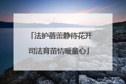 法护蓓蕾静待花开 司法育苗情暖童心