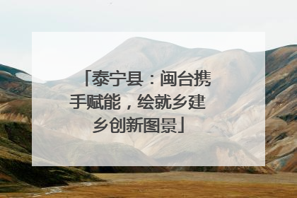 泰宁县：闽台携手赋能，绘就乡建乡创新图景