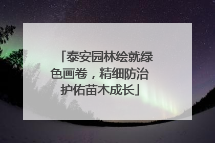 泰安园林绘就绿色画卷，精细防治护佑苗木成长