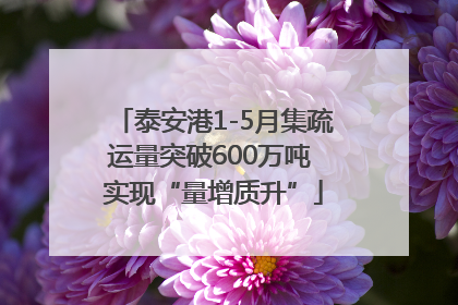 泰安港1-5月集疏运量突破600万吨 实现“量增质升”