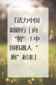 活力中国调研行｜向“智”！中国机器人“跑”起来