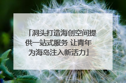洞头打造海创空间提供一站式服务 让青年为海岛注入新活力