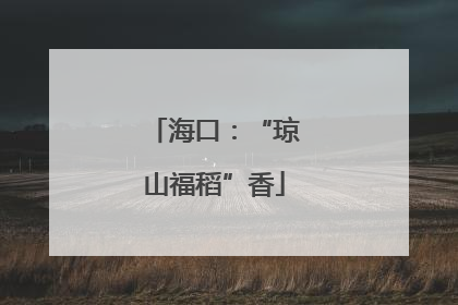 海口：“琼山福稻”香