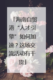 海南自贸港“人才引擎”如何加速？这场交流活动有干货