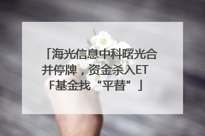 海光信息中科曙光合并停牌，资金杀入ETF基金找“平替”