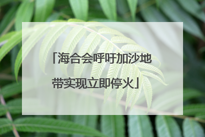 海合会呼吁加沙地带实现立即停火