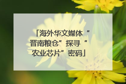 海外华文媒体“晋南粮仓”探寻“农业芯片”密码