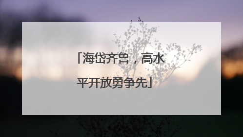 海岱齐鲁，高水平开放勇争先