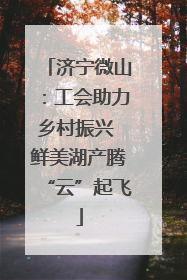 济宁微山：工会助力乡村振兴 鲜美湖产腾“云”起飞