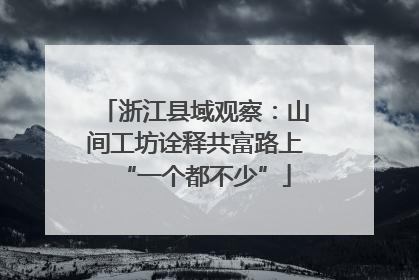 浙江县域观察：山间工坊诠释共富路上“一个都不少”