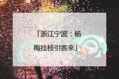 浙江宁波：杨梅挂枝引客来