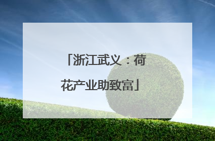 浙江武义：荷花产业助致富