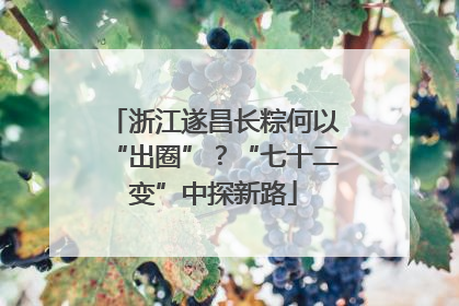 浙江遂昌长粽何以“出圈”？“七十二变”中探新路