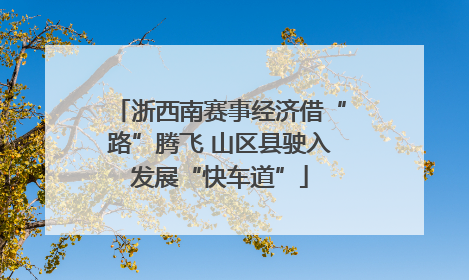 浙西南赛事经济借“路”腾飞 山区县驶入发展“快车道”