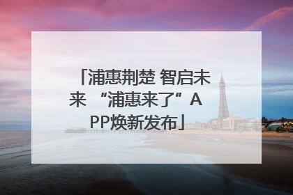 浦惠荆楚 智启未来 “浦惠来了”APP焕新发布