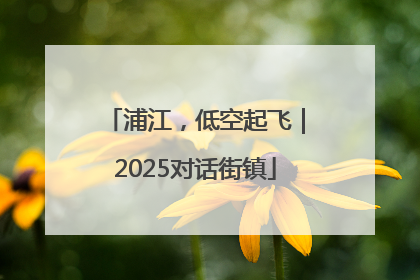 浦江，低空起飞｜2025对话街镇