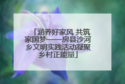 涵养好家风 共筑家国梦——房县沙河乡文明实践活动凝聚乡村正能量
