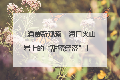 消费新观察丨海口火山岩上的“甜蜜经济”