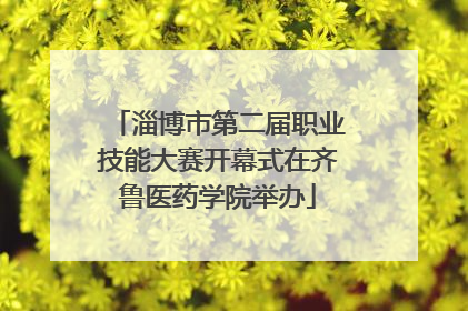 淄博市第二届职业技能大赛开幕式在齐鲁医药学院举办