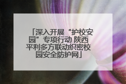 深入开展“护校安园”专项行动 陕西平利多方联动织密校园安全防护网