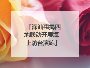 深汕惠揭四地联动开展海上防台演练