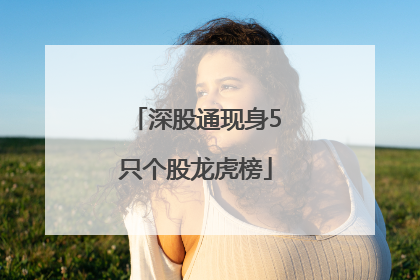 深股通现身5只个股龙虎榜
