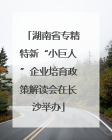 湖南省专精特新“小巨人”企业培育政策解读会在长沙举办