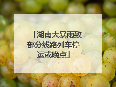 湖南大暴雨致部分线路列车停运或晚点