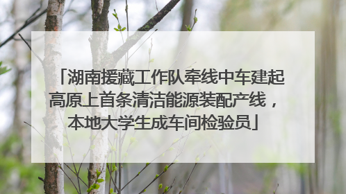 湖南援藏工作队牵线中车建起高原上首条清洁能源装配产线，本地大学生成车间检验员