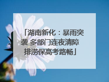 湖南新化：暴雨突袭 多部门连夜清障排涝保高考路畅