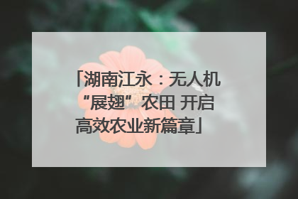 湖南江永：无人机“展翅”农田 开启高效农业新篇章