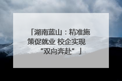 湖南蓝山：精准施策促就业 校企实现“双向奔赴”