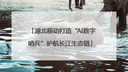 湖北移动打造“AI数字哨兵”护航长江生态链