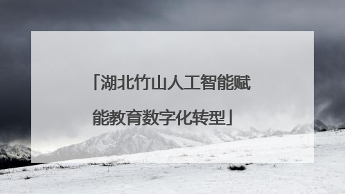 湖北竹山人工智能赋能教育数字化转型