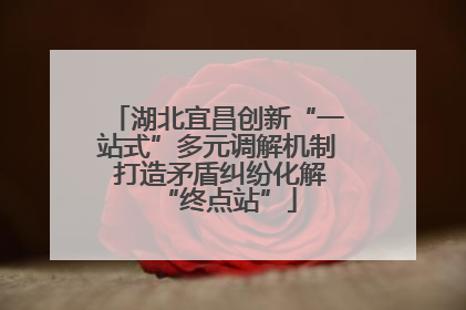 湖北宜昌创新“一站式”多元调解机制 打造矛盾纠纷化解“终点站”