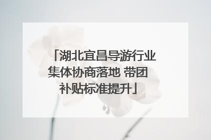 湖北宜昌导游行业集体协商落地 带团补贴标准提升