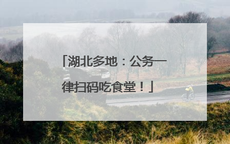 湖北多地：公务一律扫码吃食堂！